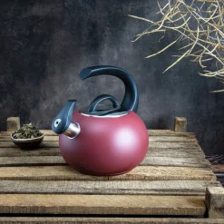 CRISTEL Bouilloire Neptune