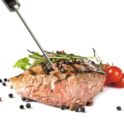 CRISTEL Thermomètre digital